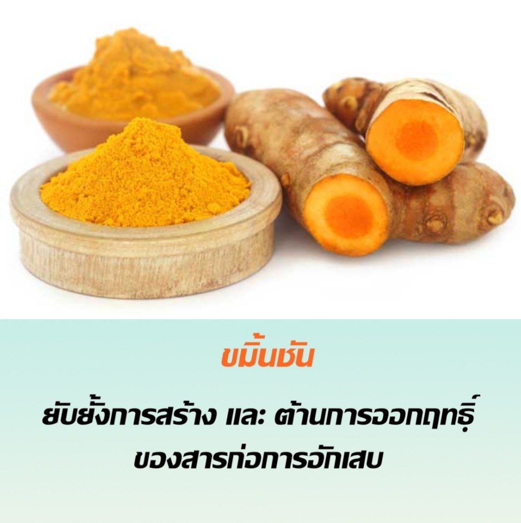 CURMA MAX เคอร์ม่า แม็กซ์
